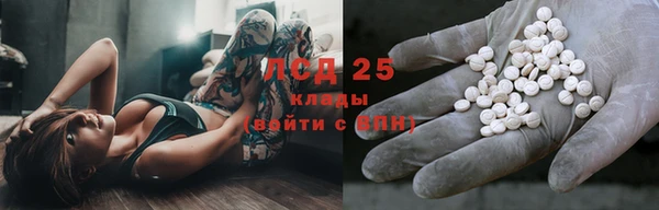гашик Козельск