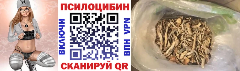 дарнет шоп  МЕГА маркетплейс  Галлюциногенные грибы мицелий  Кирс 